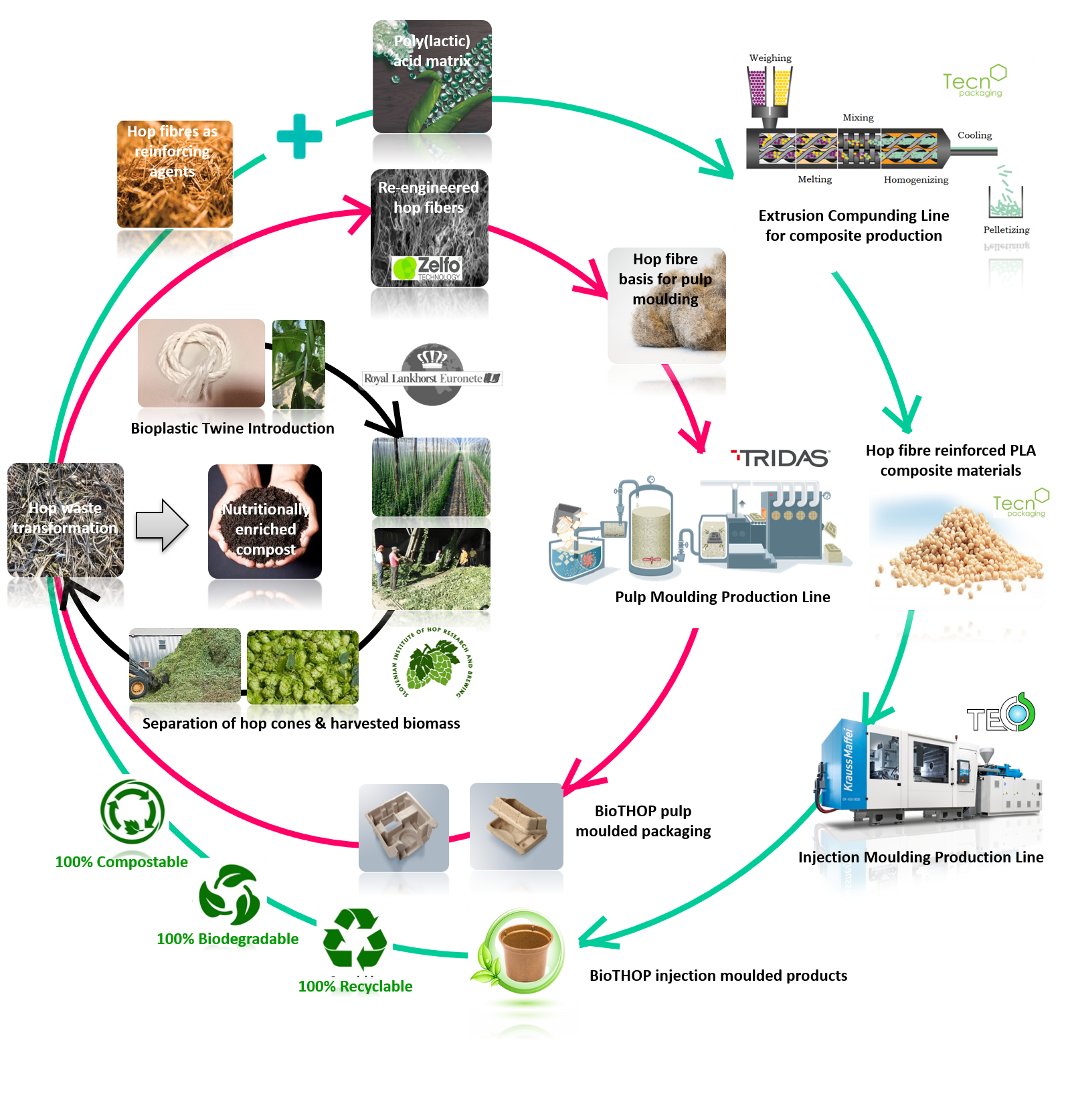 Circular Economy Model